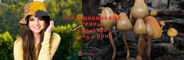 экстази Алексин